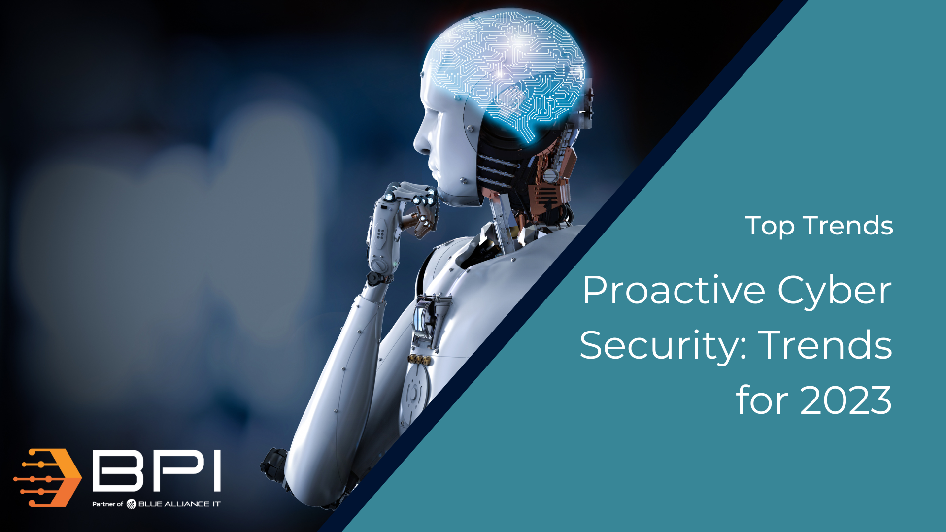 Proactive Cyber Security